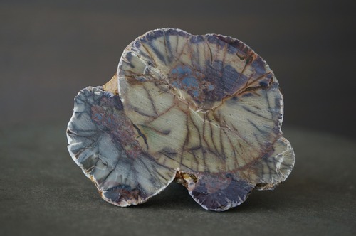 コールドマウンテン・サンダーエッグ Cold Mountain Thunderegg 2364