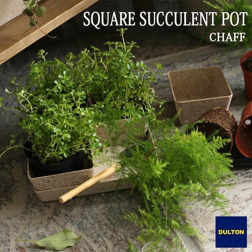 BOTANY SQUARE SUCCULENT POT ボタニー スクエア サキュレント ポット 植木鉢 自然由来 ダルトン DULTON