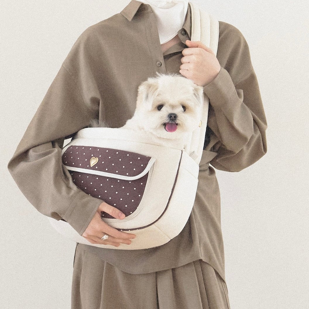 M即納【seoru】Dot Valentine Bag ( brown ) | ropet