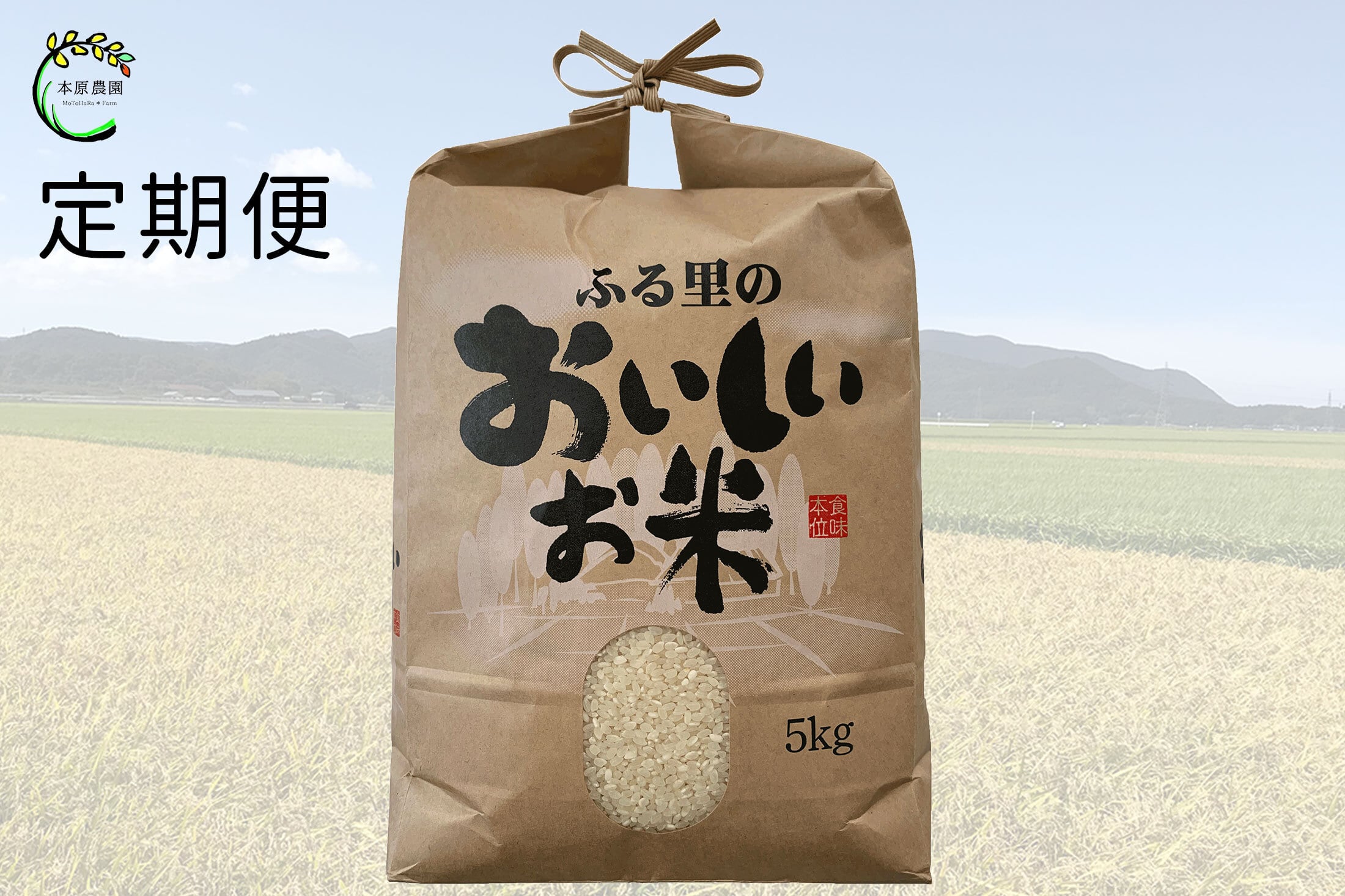 6ヶ月連続お届け】【令和5年産】コシヒカリ 5kg 白米 | motoharafarm