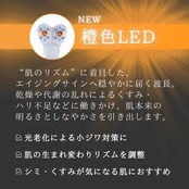 【2週間前後でお届け】ZERU V2 & 栗林 良子様 お気に入りセット