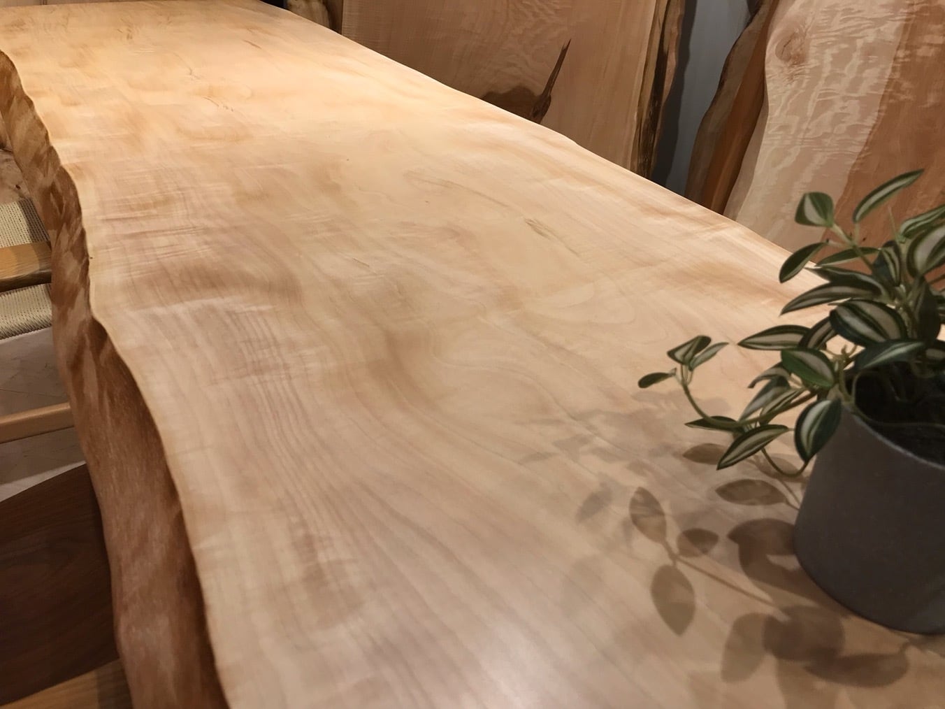 白栃（トチ）_1800×500×50_横浜店_テーブル天板/一枚板 261133-1 t001