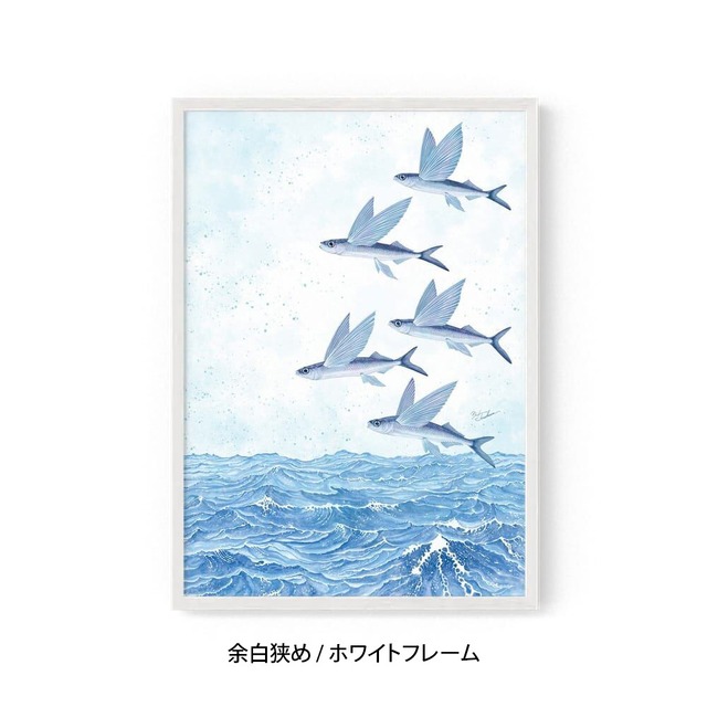A2｜魚翔海図（ぎょしょうかいず）（フレームあり）