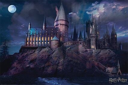 ハリー・ポッター/ホグワーツ城 Harry Potter: Hogwarts Harry Potter 輸入ポスター 61cm x 91.5cm POSP34369