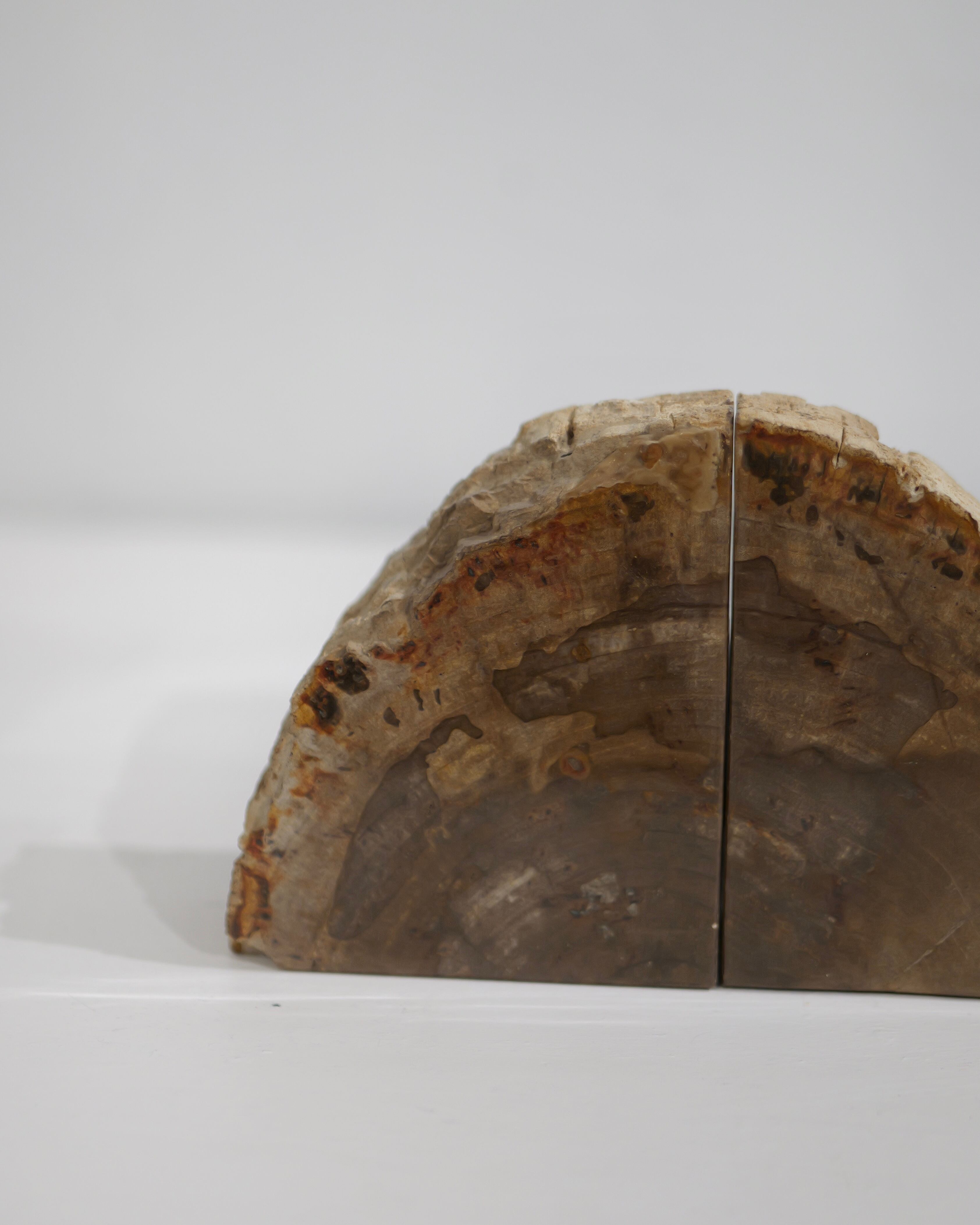 OAK Petrified Wood - Book End #001 ：Natural｜珪化木／一点もの