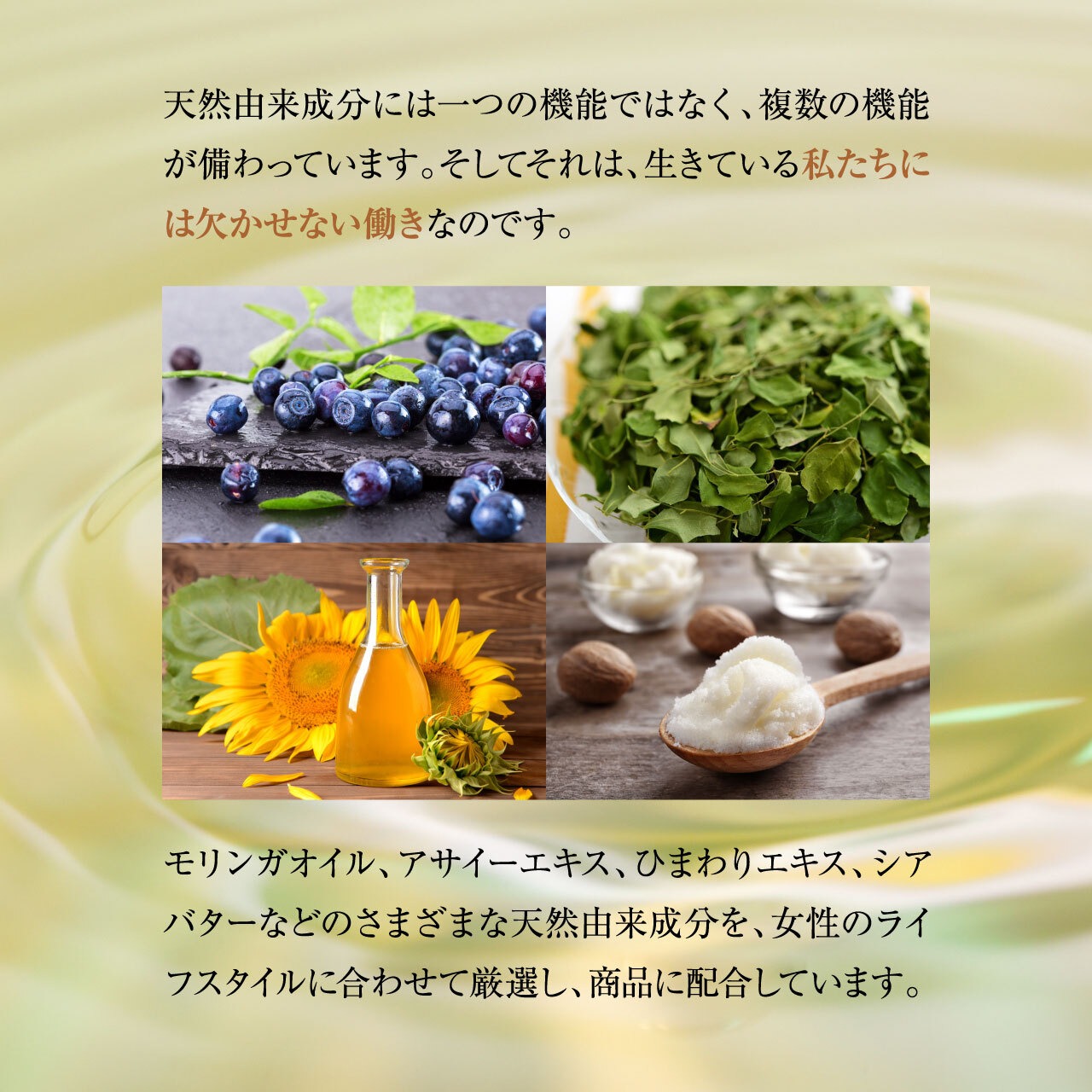 バフチェ　ラヴィゼ　モイスチャークリーム　セット
