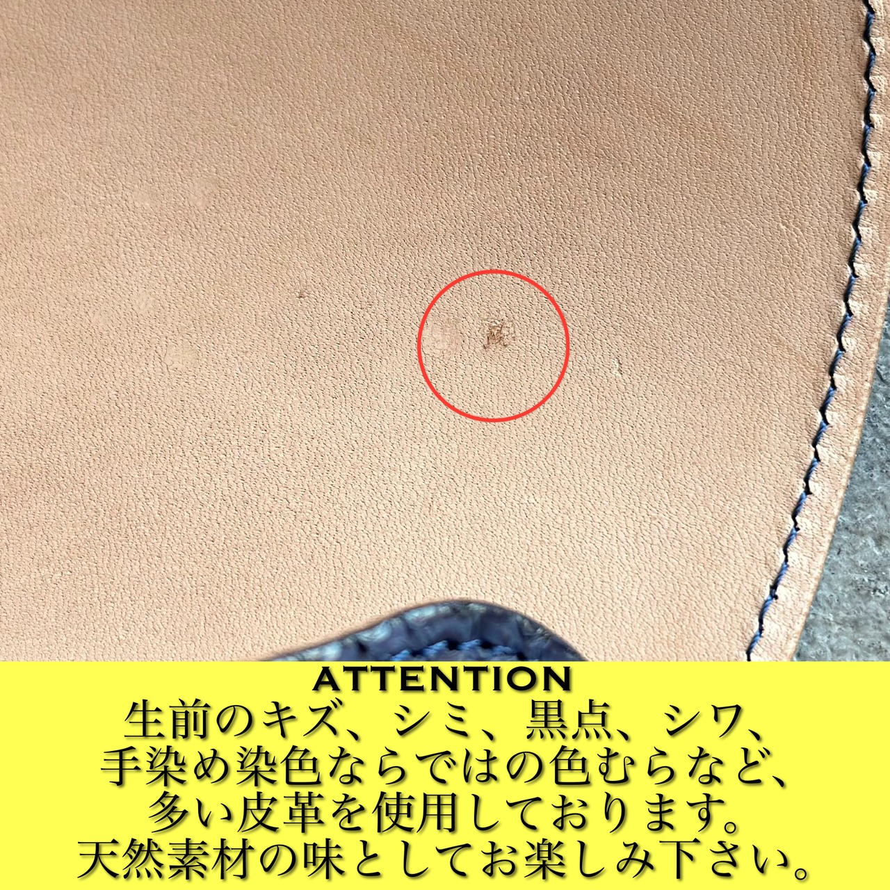 グラスケース ラージプレート マットパイソン