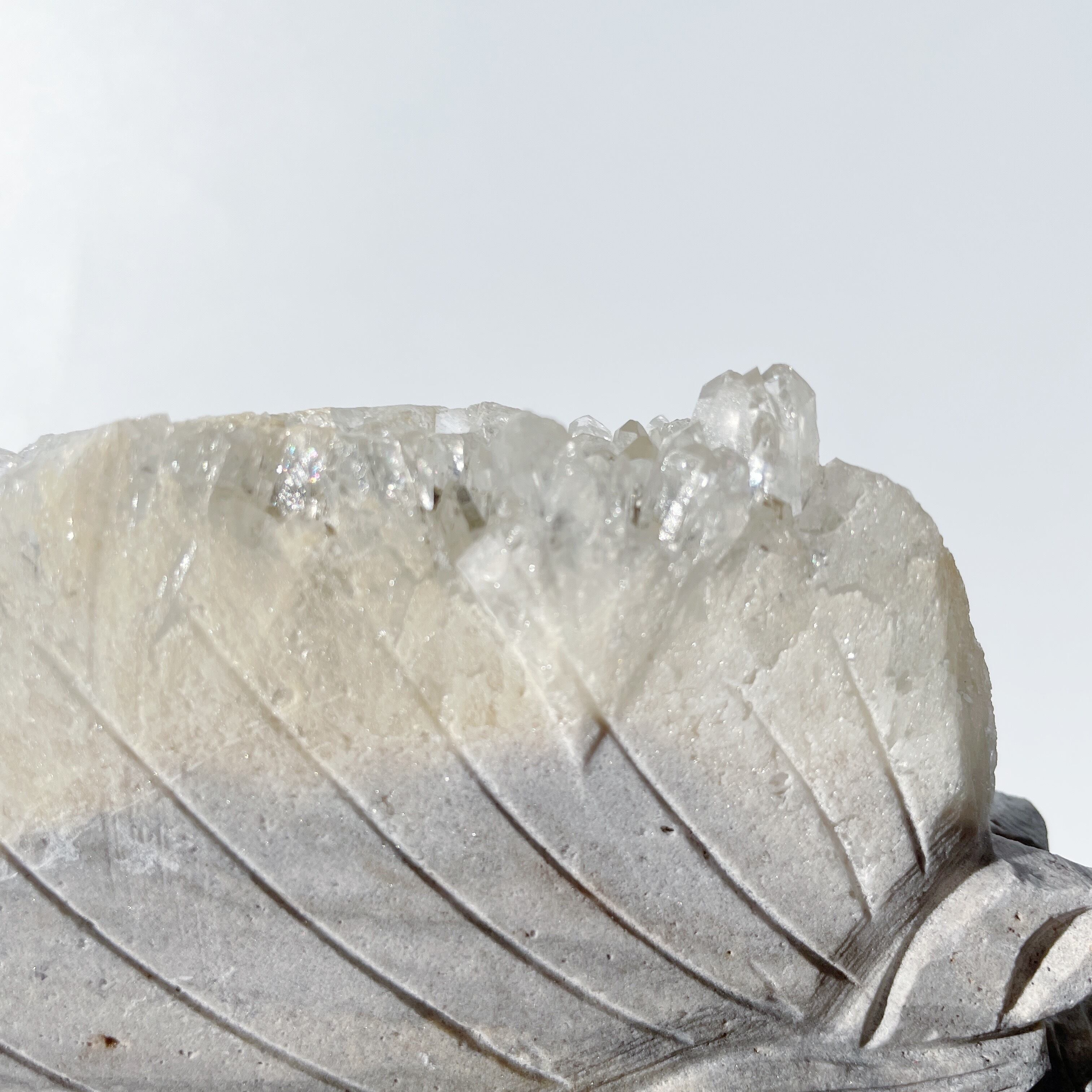 クリアクォーツ ユニコーン13◇Clear Quartz unicorn◇天然石・鉱石