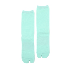 COOLMAX EcoMade Fiber Socks (Pale Green)
