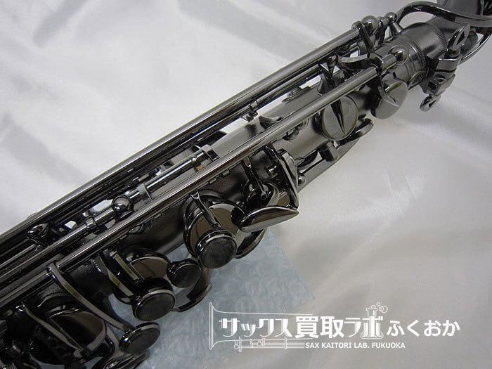 Cannonball A5-BiceB Raven キャノンボール 中古 アルトサックス