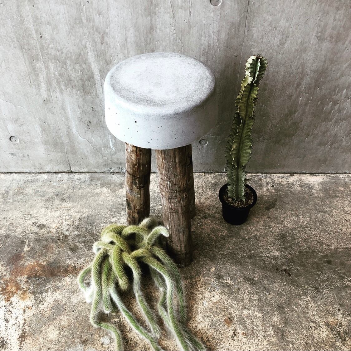 コンクリートスツール 60old② コンクリートスツール 60old②