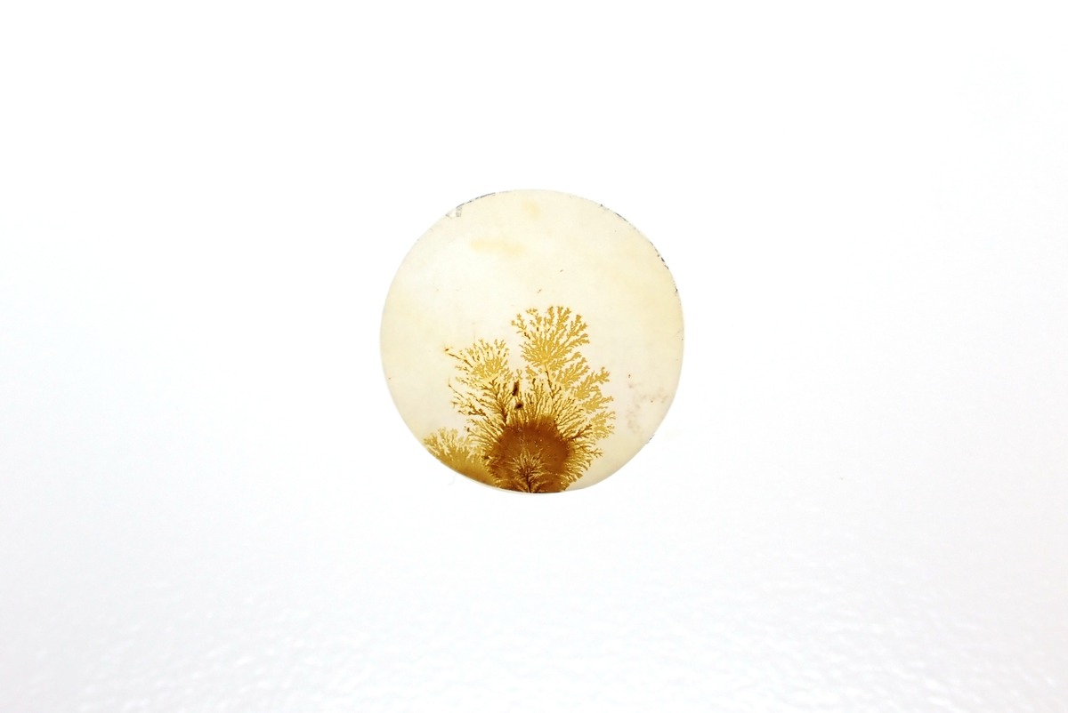 778 dendritic agate | MATERIALS+