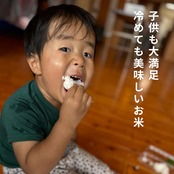 定期便6回｜玄米 ひとめぼれ10kg｜4月〜9月お届け｜送料無料（一部地域を除く）