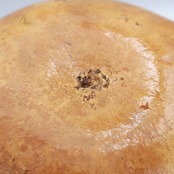 フラダンス イプ ひょうたん ブラウン系 楽器 小物 小道具 茶 白 黄 黄緑 明るい 袋 セット 袋付き 光沢 艶 紐 タヒチアン タヒチ 練習 レッスン 舞台 ステージ イベント 音楽 ハワイアン アロハ ダンス小物 ナチュラル ホワイト系 葉っぱ柄