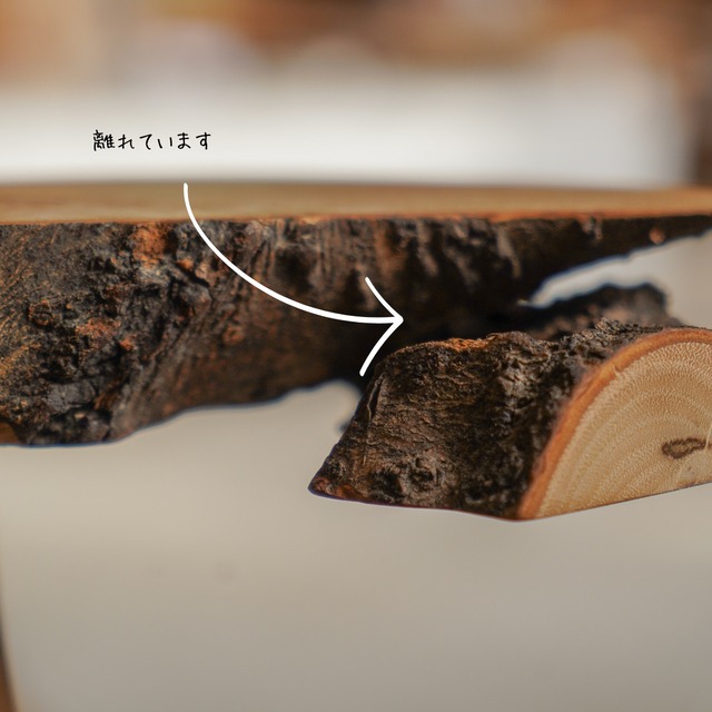 金木犀の一枚板 コーヒーテーブル （高さ・カラー変更無料）