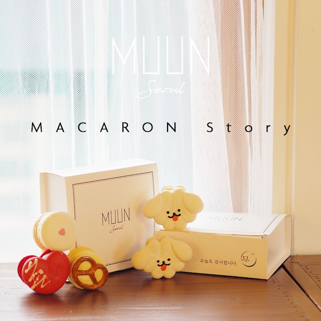 【期間限定】【数量限定】早い勝ち！MUUN Seoul X’mas Special Macaron クリスマス限定マカロン6個セットSpecial GIFT BOX (ギフト用) おうちカフェ トゥンカロン
