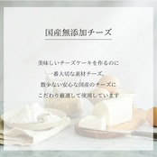 seedチーズケーキ　グルテンフリー玄米粉のチーズケーキ