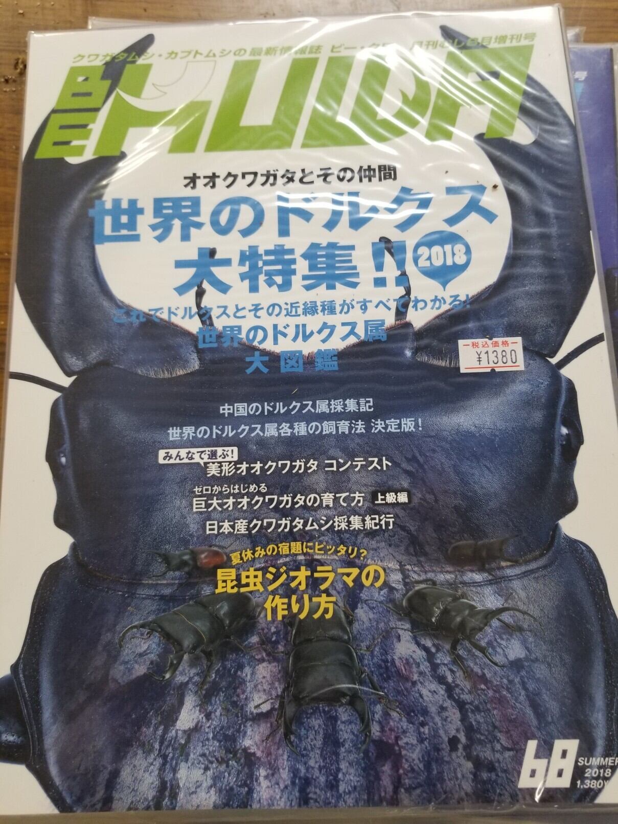 BE・KUWA（ビー・クワ）50号☆インドのクワガタムシ大特集!!｜ドルクス