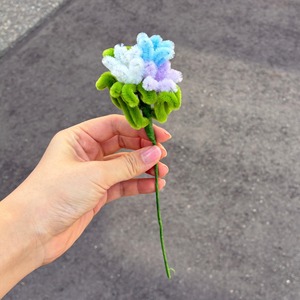 【アウトレット】ミニりんどう＜試作品＞