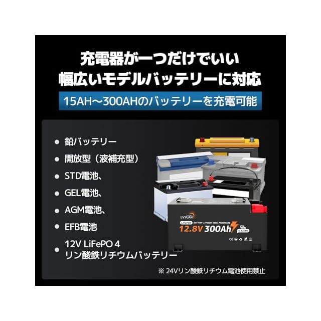 リョクエン（LVYUAN）【正規品】 全自動パルスバッテリー充電器 定格