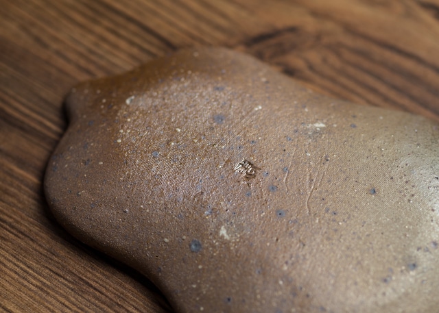 炭化焼締 瓢箪皿(小皿・取皿・和食器)/阿部 恵里