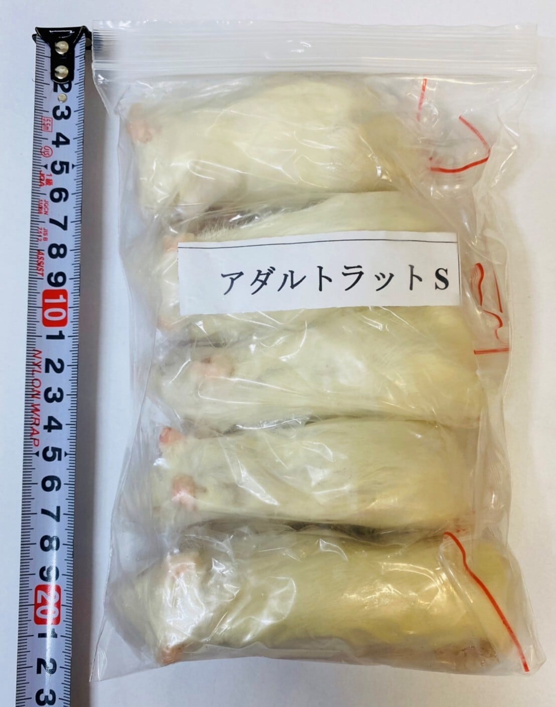 冷凍特大ラット 23匹 特価 冷凍特大ラット 23匹 特価