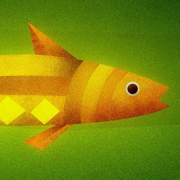 月の魚 | イカルの森