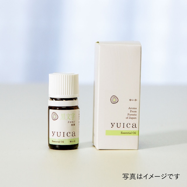 クロモジ（枝葉部）：yuica 精油