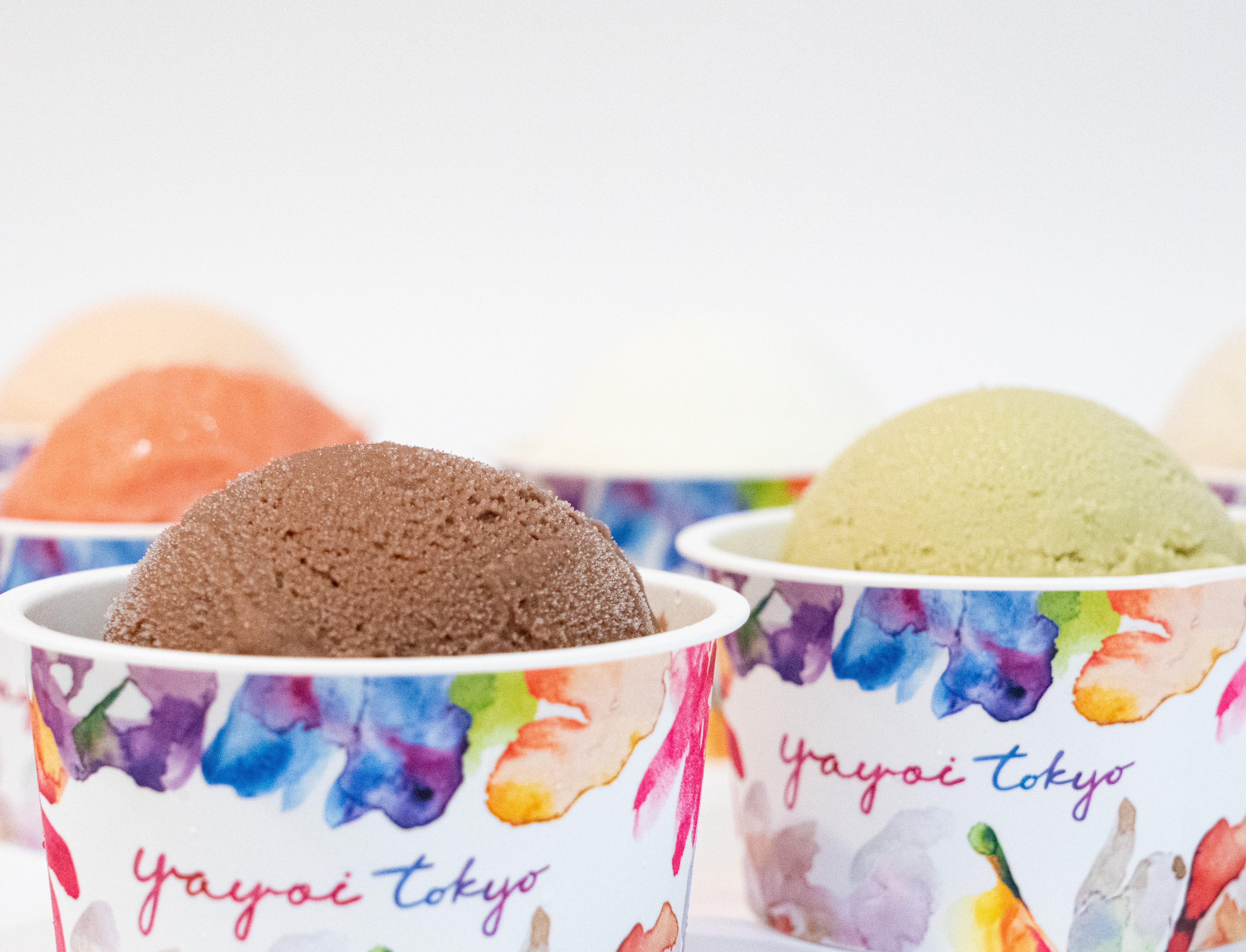 12個 ギフトボックスx2セット】ジェラート詰合せ | YAYOI TOKYO