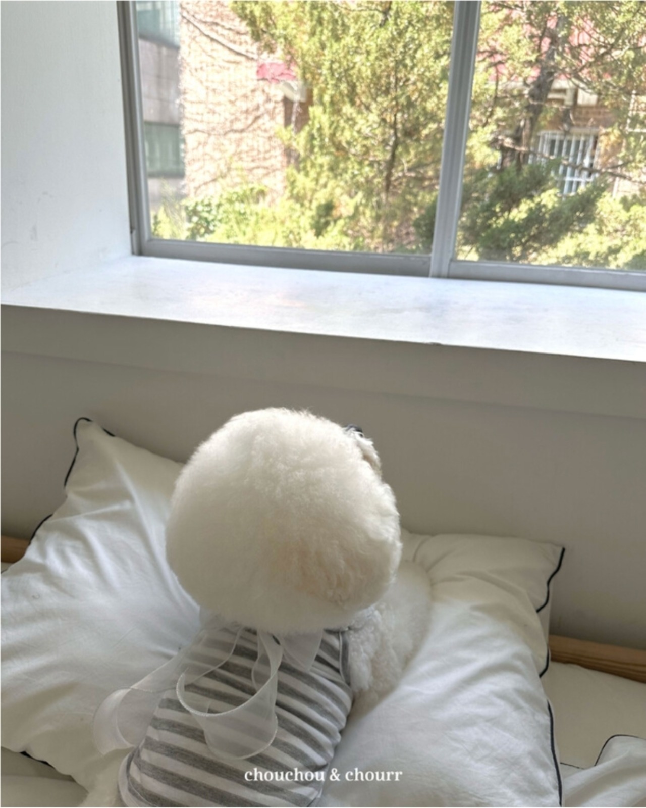 予約 【chouchou&chourr】GLITTER SLEEVELESS （Grey）