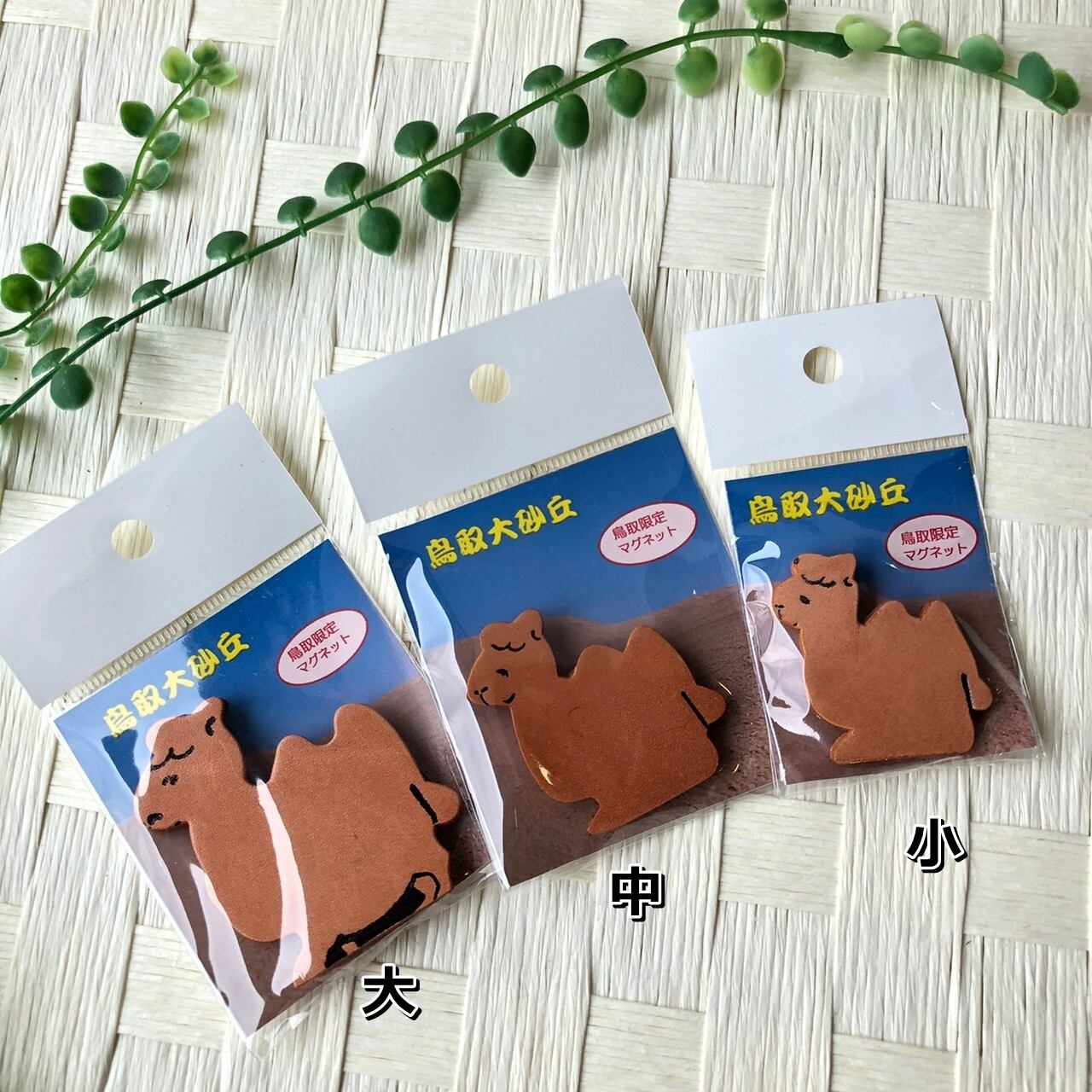 名入れ】らくだマグネット（大） | 鳥取砂丘のお土産ショップ