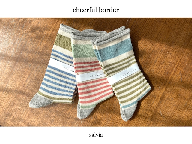 salvia / ふんわりくつした - cheerful border