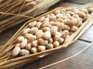 野生の納豆を作ろう！無農薬大豆の藁苞納豆作りキット