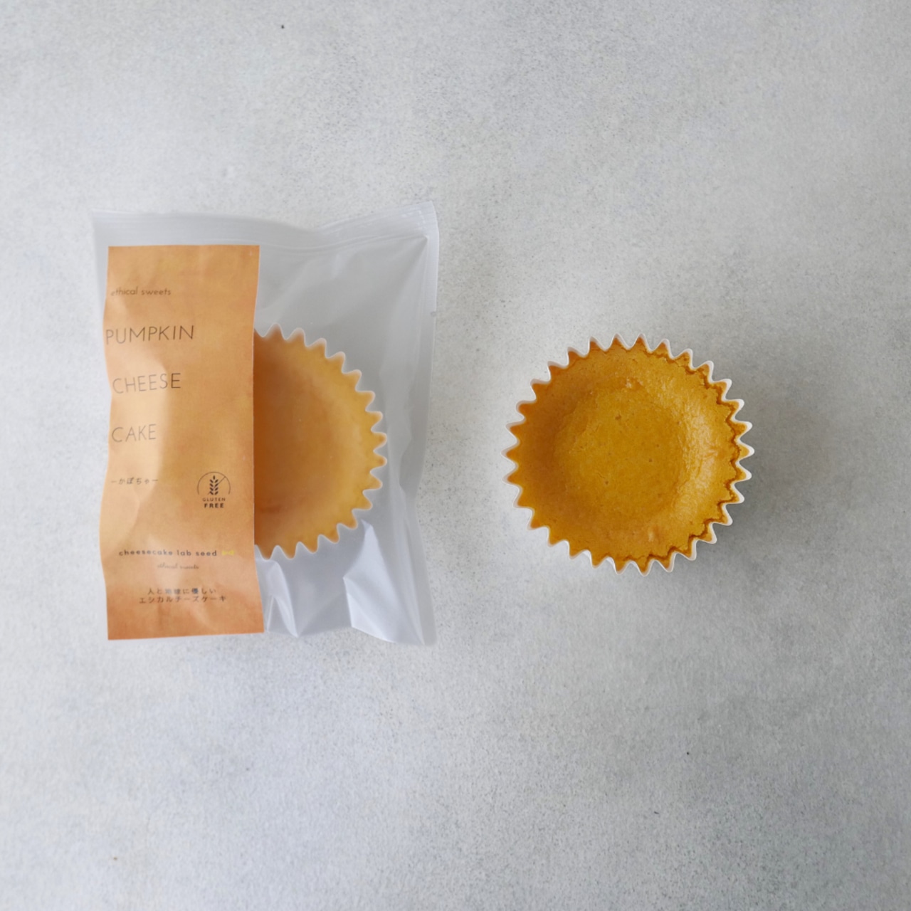 地球に優しいエシカルチーズケーキ -かぼちゃ-