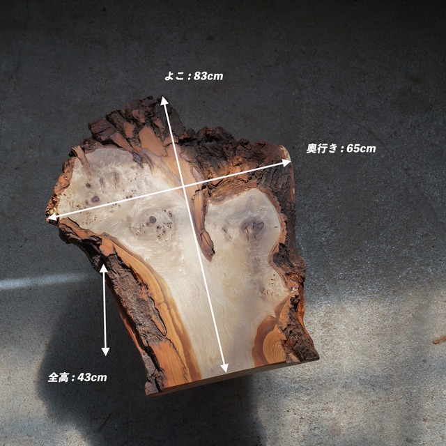 樹皮が野生的なポプラ 一枚板 ローテーブル