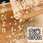 【R3収穫米】佐賀県産『さがびより（玄米40kg）』