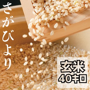 【R3収穫米】佐賀県産『さがびより（玄米40kg）』