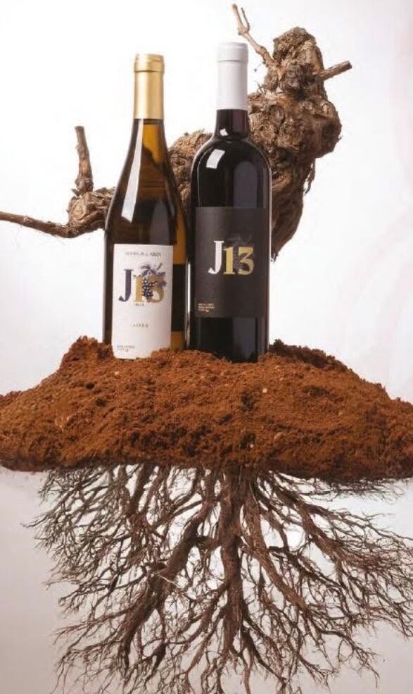 赤 J13 Crianza ホタ・トレセ・クリアンサ | VINOMIO ~ スペインワイン