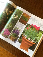 フランス古書　ガーデニング　Balcon et Terrasses 12psby13