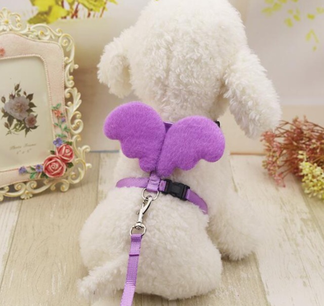 犬用ハーネス リード 天使の羽 ポップカラー5色から選べるエンジェルハーネス ワンちゃんの素敵なアイテムとレディーの美容のセレクトショップワンワンダフル