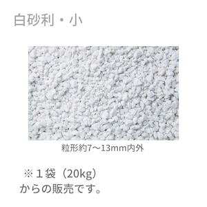 琉球石灰岩 RYUKYU LIMESTONE