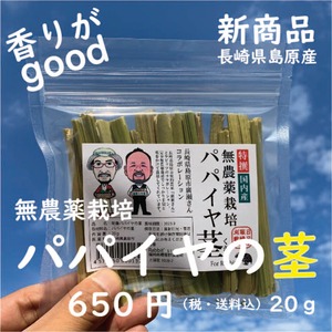 【販売中】無農薬栽培パパイヤの茎 20g（税・送料込）