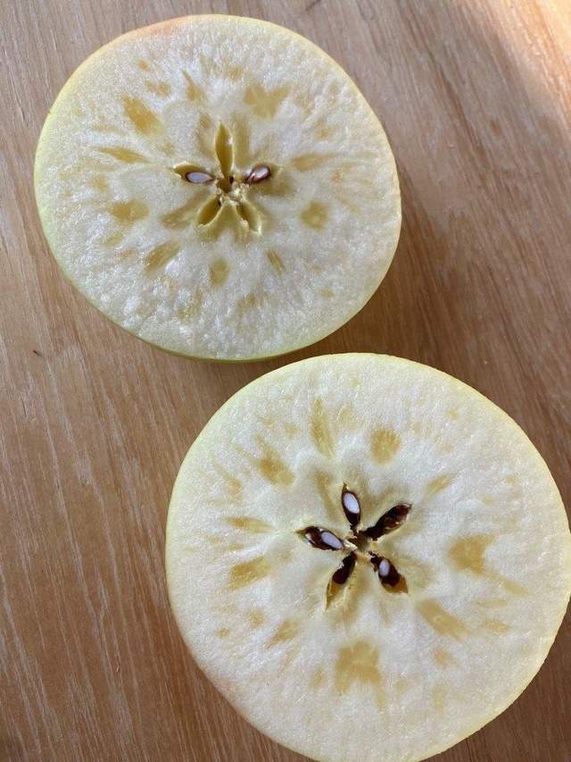 ぐんま名月 ５ｋｇ