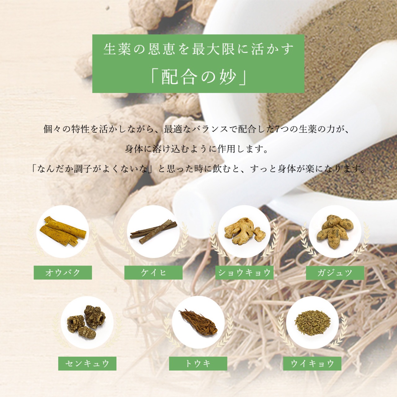 普導丸 ふどうがん 丸剤 20粒入×24包 赤パッケージ 日野製薬 御嶽山 【医薬部外品】