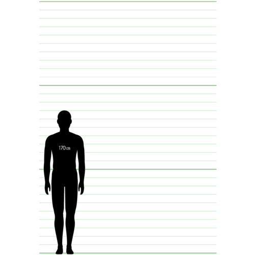 3メートル人体比較図