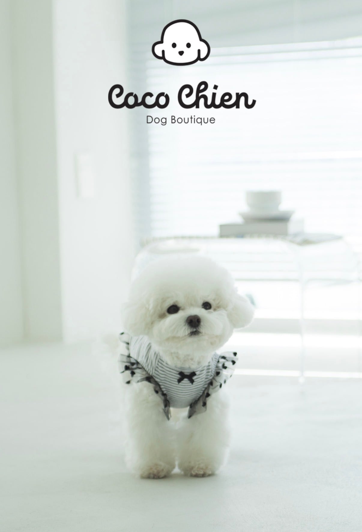 【Coco Chien 】グリビティシャツ