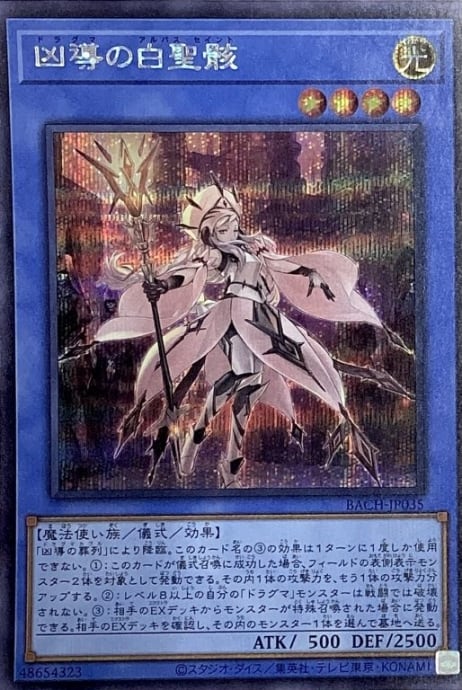 【Bランク】凶導の白聖骸(シク)