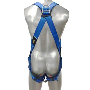 スカイハーネス