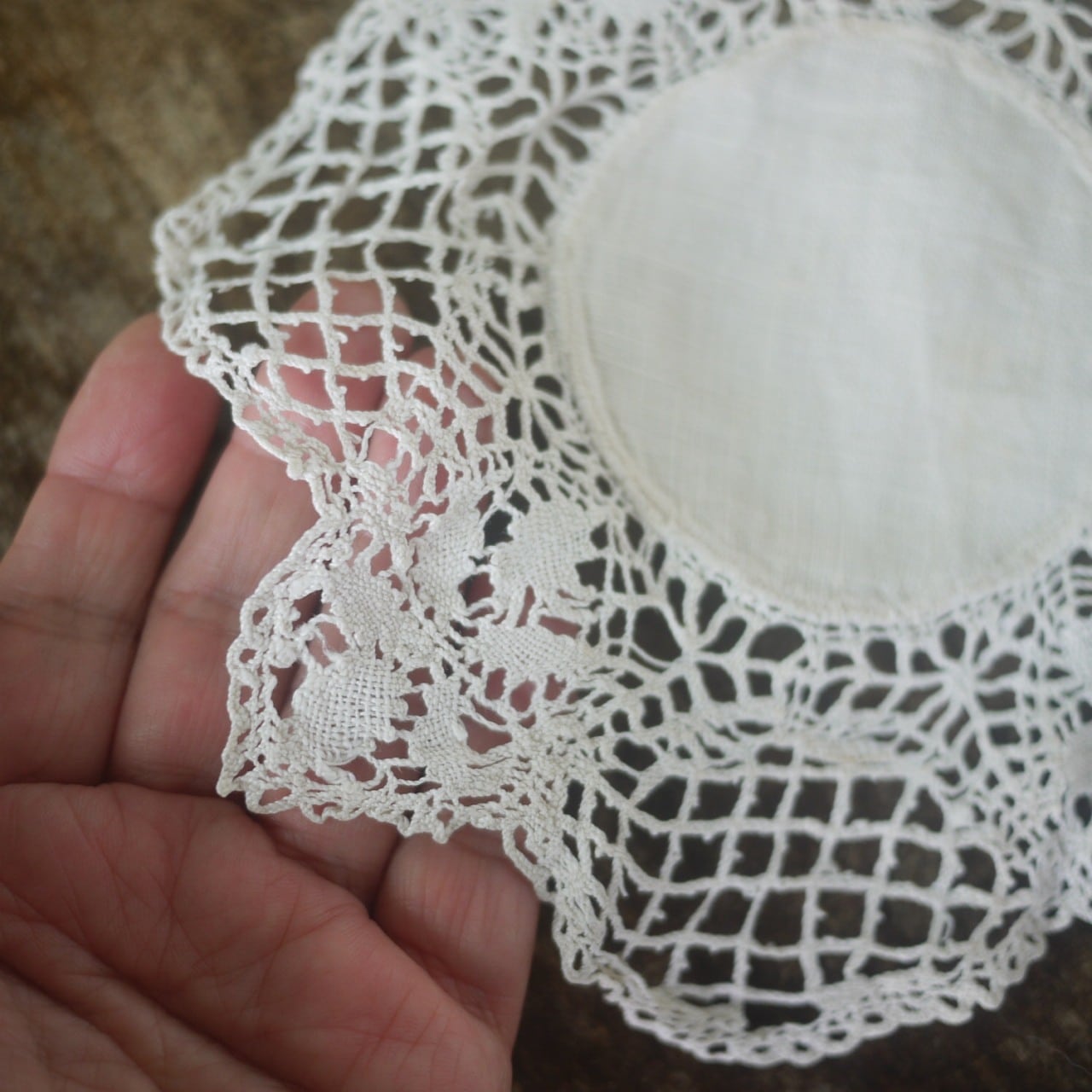 マルチーズレース ドイリー ボビンレース マルタ島