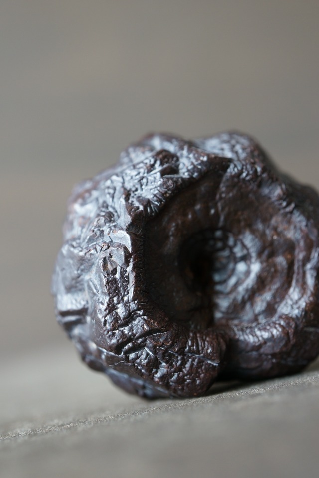 エジプト産ゼットストーン 特殊 Pseudomorph Goethite After Marcasite 1244